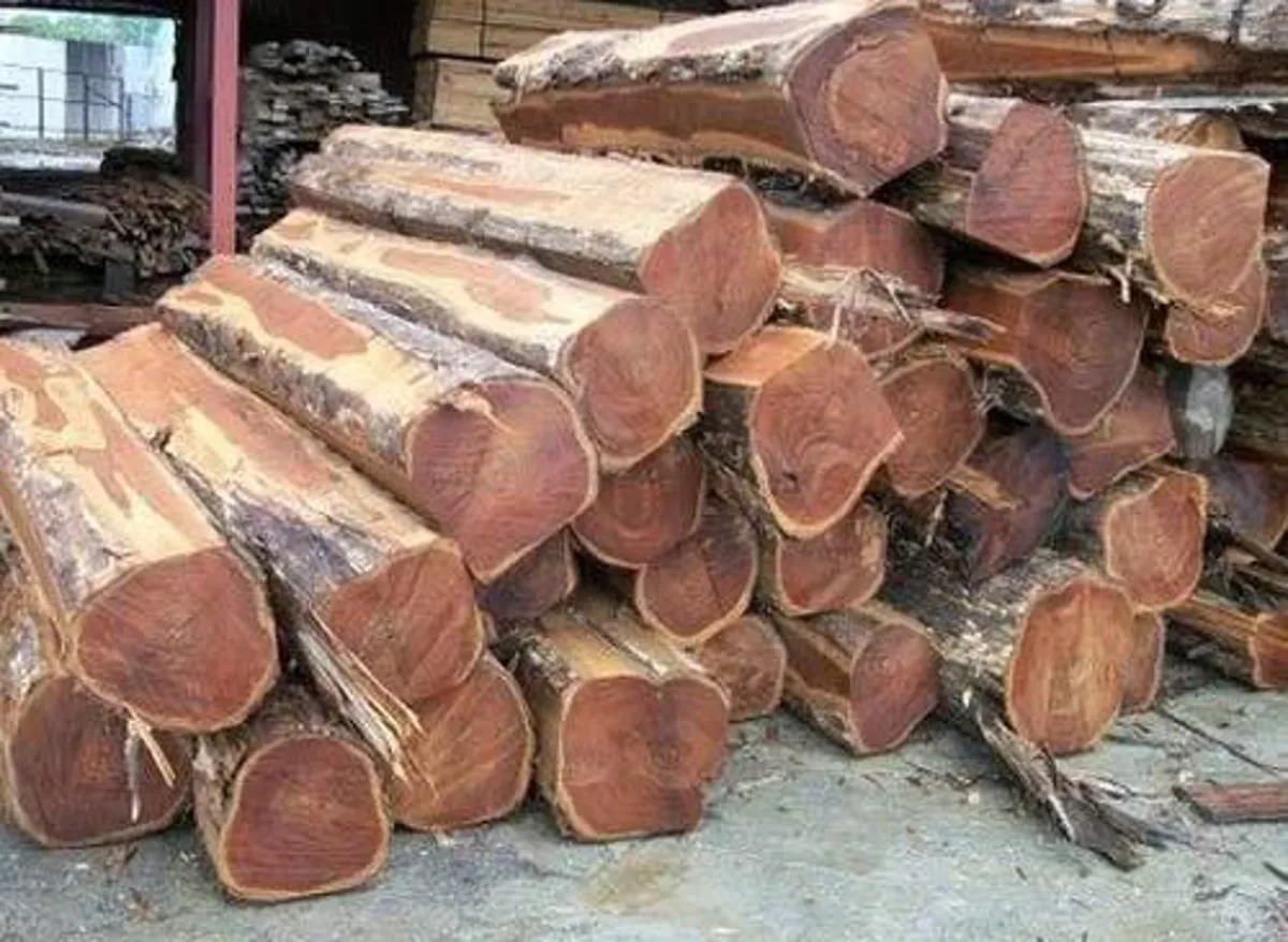 Sudan Teak Logs / Sizes 
