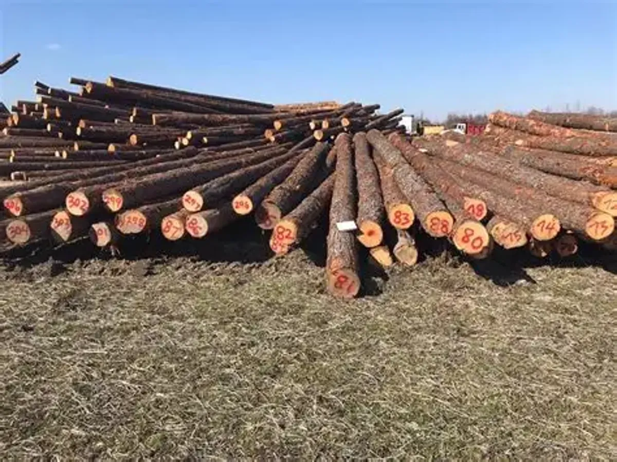 Southern Yellow Pine KD HT Lumbers 